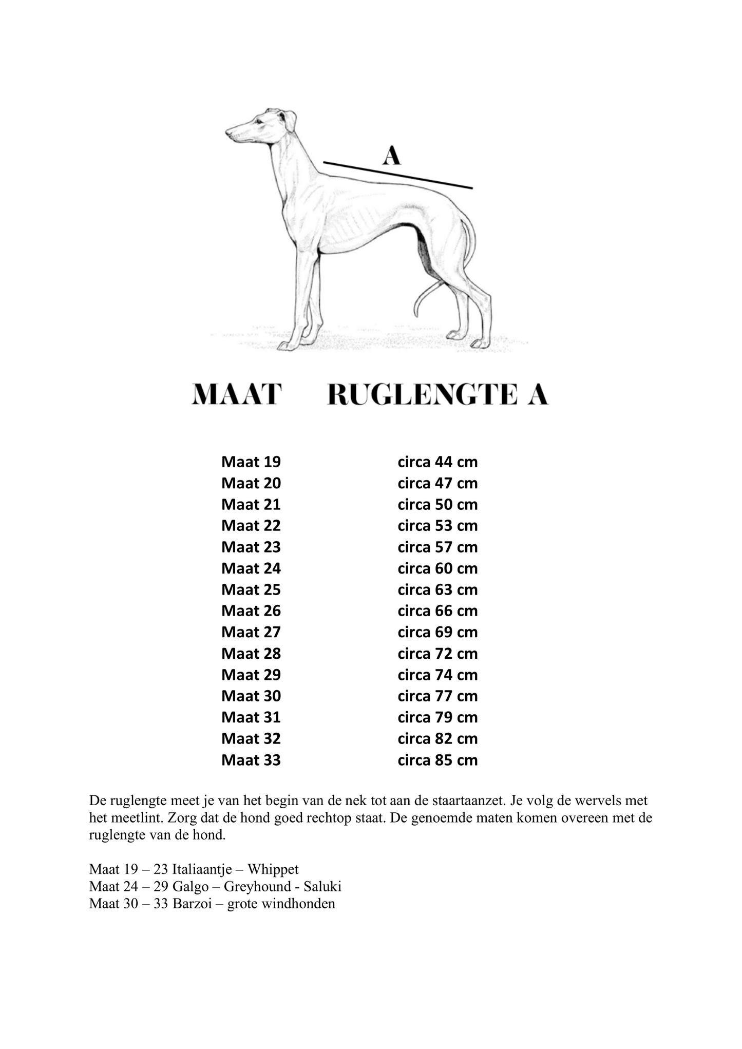 Galgo Winterjas Zwart