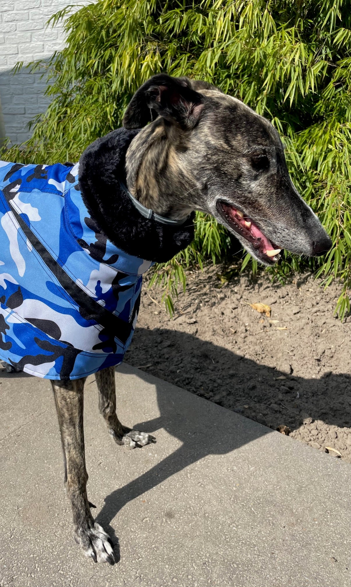 Galgo Winterjas Army Blauw