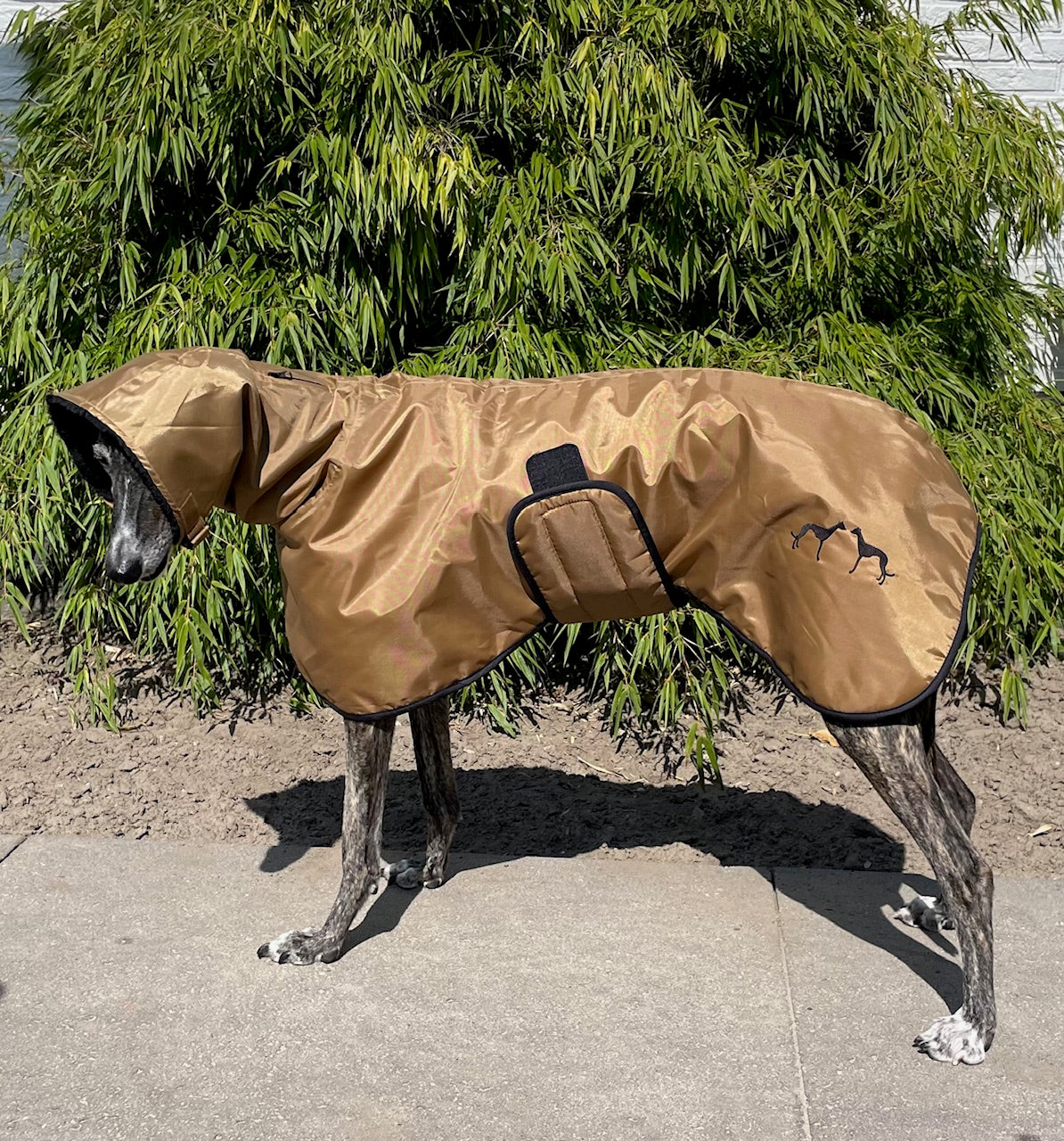 Galgo Winterjas Goud