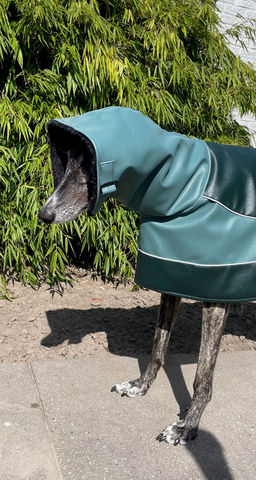 Galgo Winterjas Groen