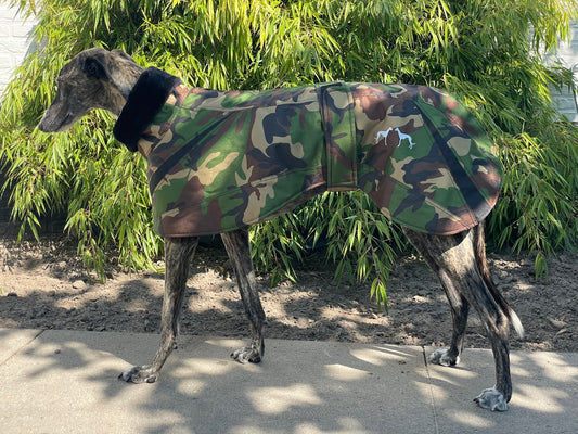 Galgo Winterjas Army Groen
