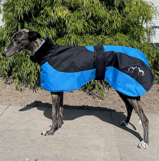 Galgo Winterjas Blauw Zwart
