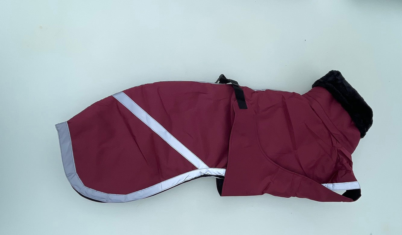 Galgo Winterjas Bordeaux