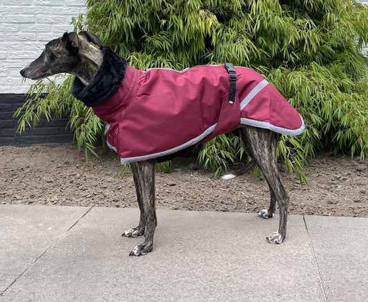 Galgo Winterjas Bordeaux