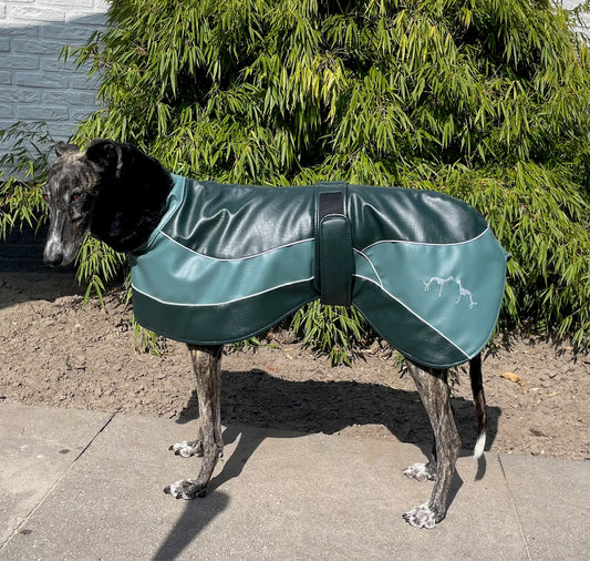 Galgo Winterjas Groen