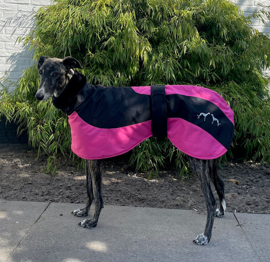 Galgo Winterjas Fuchsia Zwart