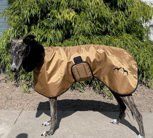 Galgo Winterjas Goud