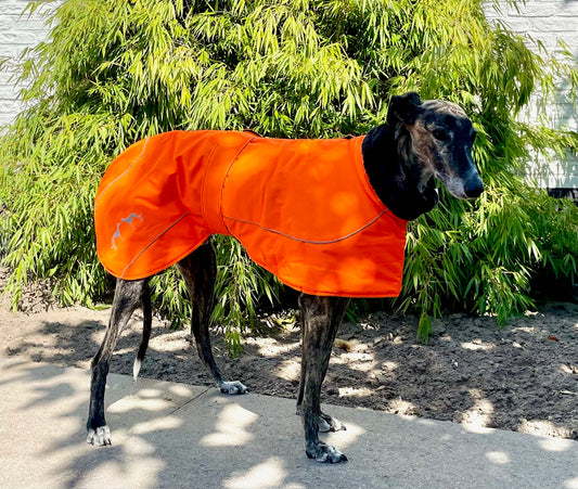Galgo Winterjas Oranje