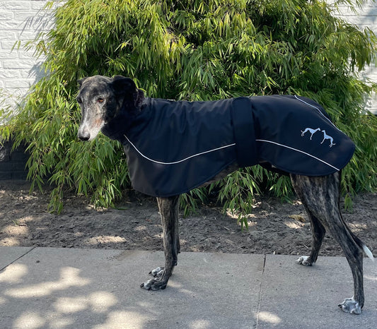 Galgo Winterjas Zwart