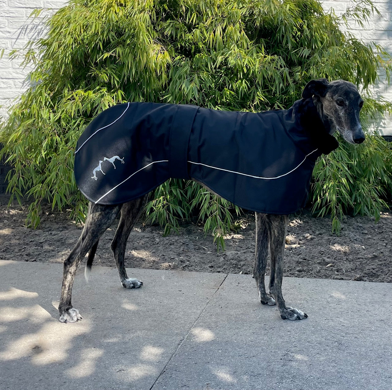 Galgo Winterjas Zwart