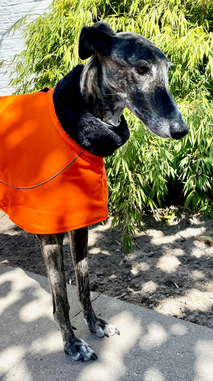 Wintermantel Galgo Orange - Galgo Projekt