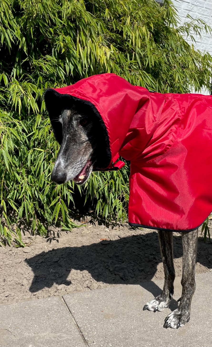 Winter coat Galgo Red - Galgo Project