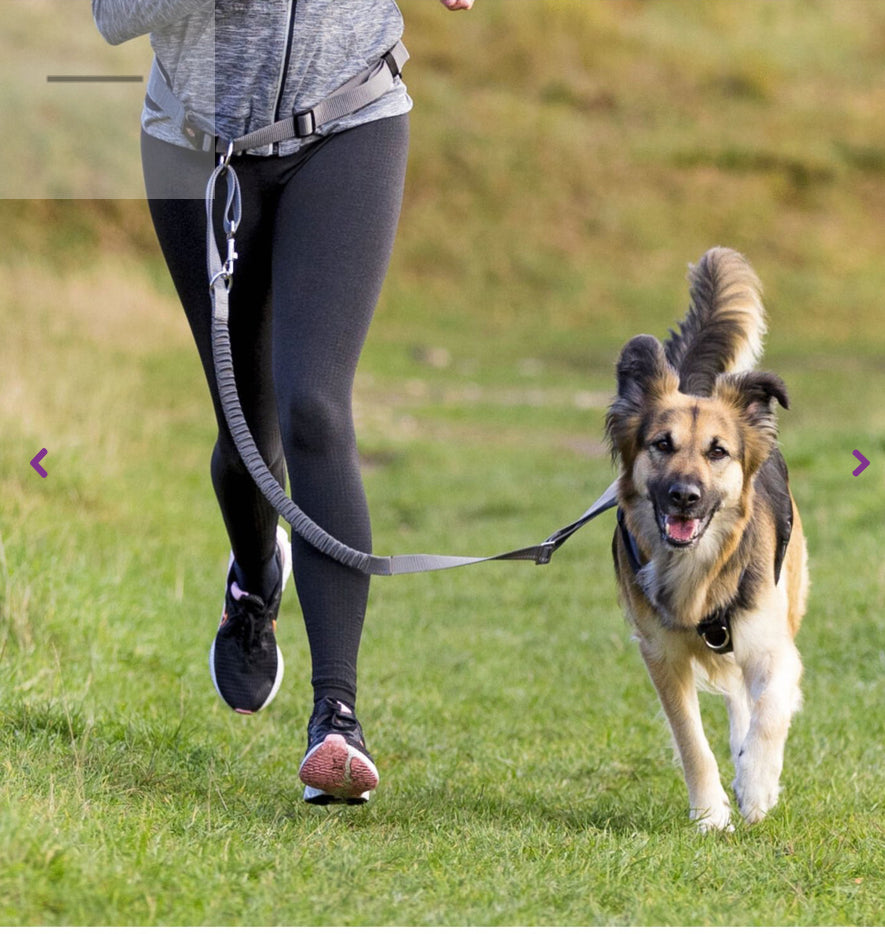 Dog leash with hip belt