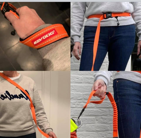 Hondenriem Ezydog