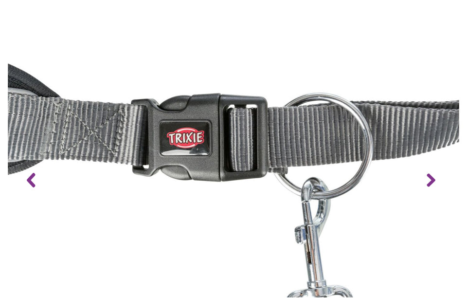 Dog leash with hip belt