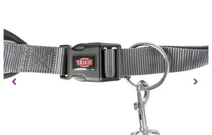 Dog leash with hip belt