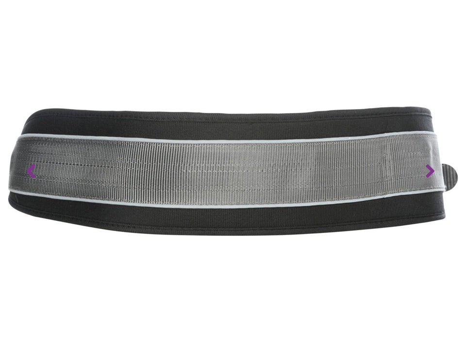 Dog leash with hip belt