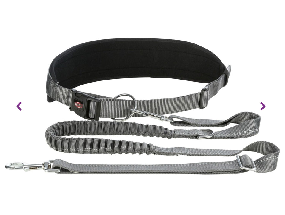 Dog leash with hip belt