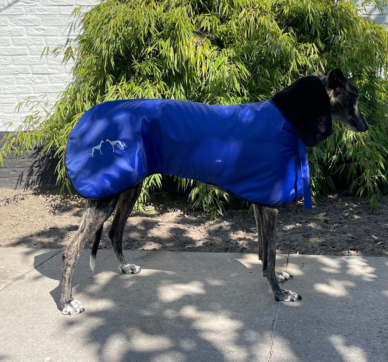 Windhond winterjas blauw