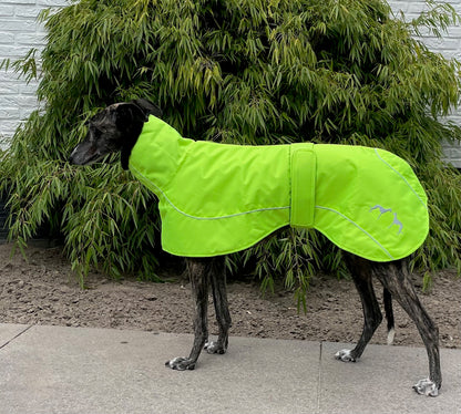 Windhond winterjas fluor groen