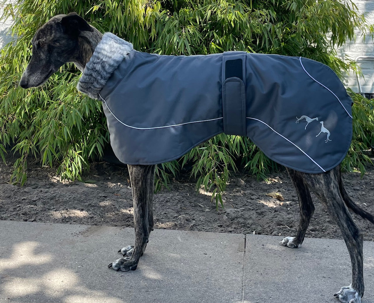 Windhond winterjas lichtgrijs