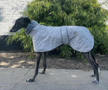 Windhond winterjas grijs